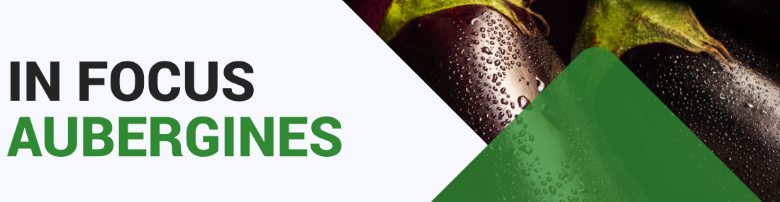 Aubergine  - Key Growing Information