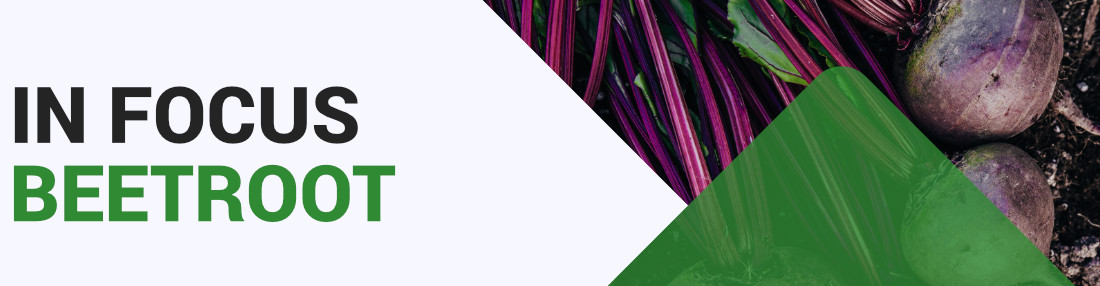 Beetroot  - Key Growing Information