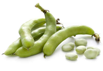 Cheap Broad Bean Seeds