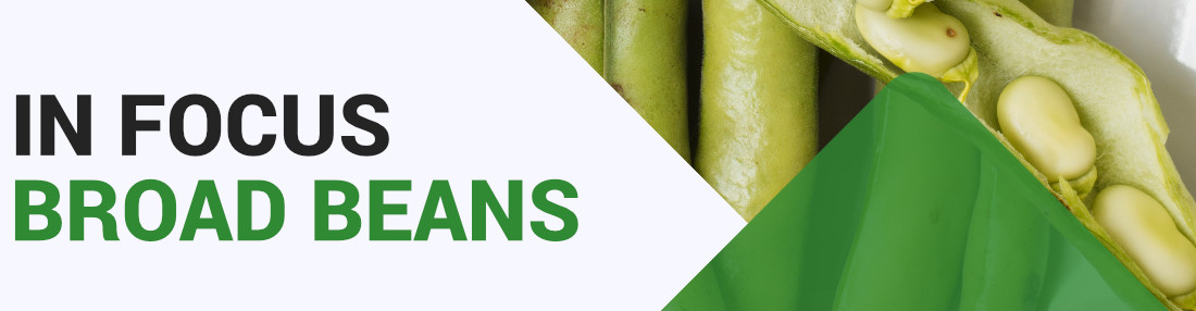Broad Beans - Key Growing Information