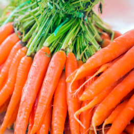 Carrots Planting Program