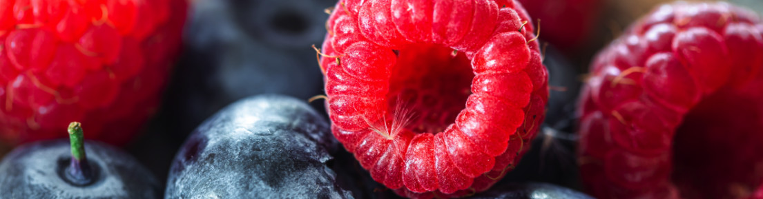 Growing Small Fruits at Home in the UK