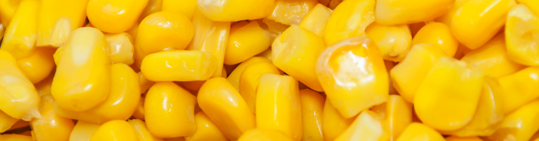 Sweetcorn we eat as seed
