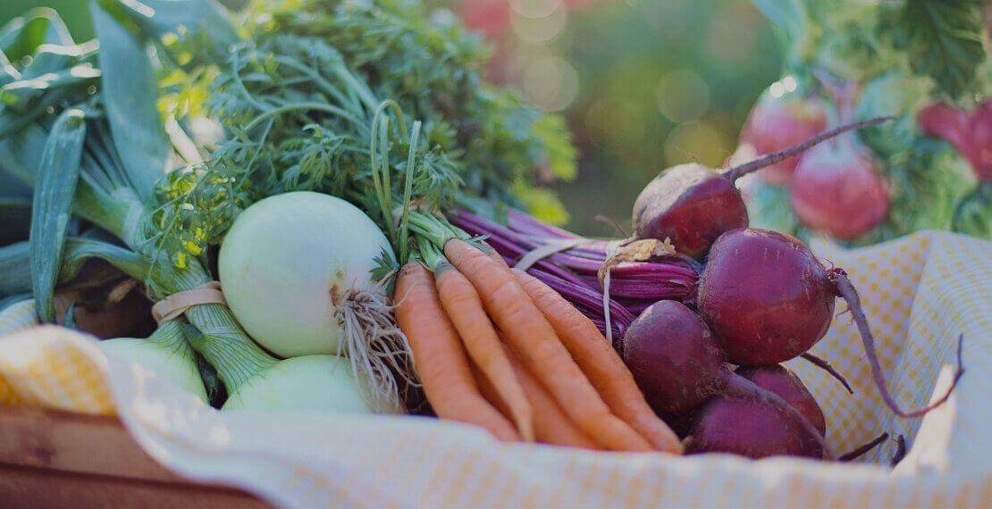 Grow vegetables from seeds